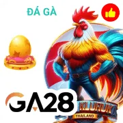 topbet Game 08